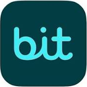 Bit